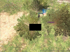 houchi.jpg